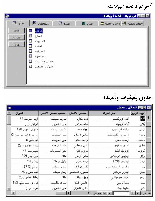 الحقل في جدول قاعدة البيانات هو