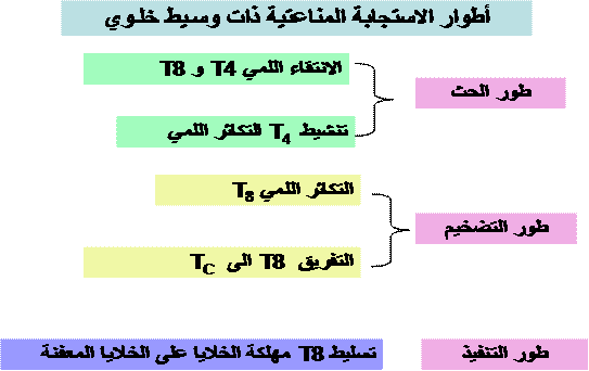 الونشريس