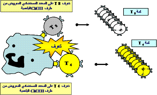 الونشريس