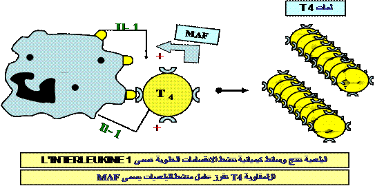 الونشريس