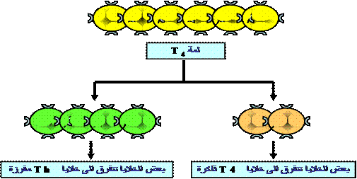 الونشريس