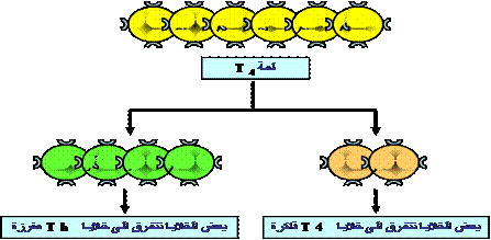 الونشريس